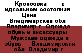 Кроссовки ASCOT в идеальном состоянии › Цена ­ 2 000 - Владимирская обл., Владимир г. Одежда, обувь и аксессуары » Мужская одежда и обувь   . Владимирская обл.,Владимир г.